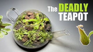 The carnivorous terrarium in a teapot by glassyGREEN 1,007 views 1 year ago 7 minutes, 5 seconds