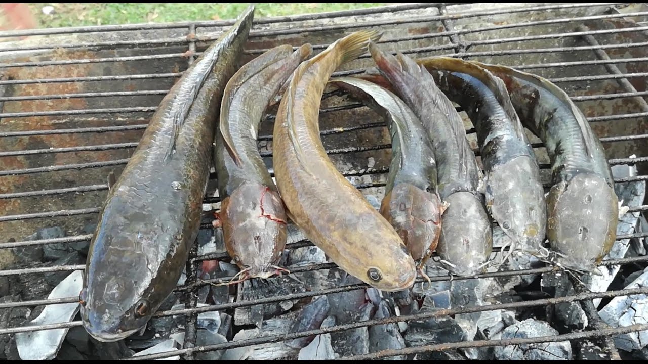 Amazing 2 Children Cook Fish For Dinner - How to Grill Fish in Cambodia - YouTube