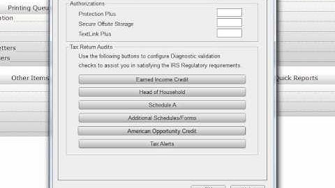 Authorizations & Audits Tab - CrossLink Professional Tax Software