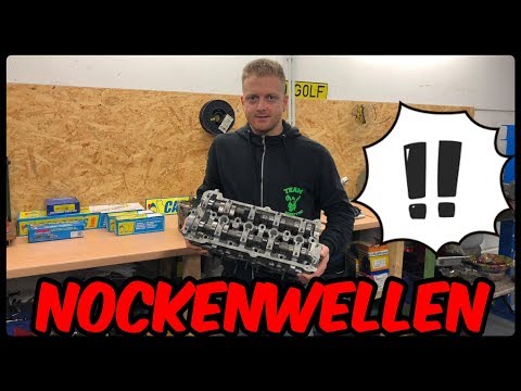Donkey Tec erklärt
