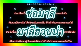 🎸คอร์ดเพลง🎸 ช่อมาลี - มาลีฮวนน่า