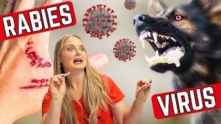 The deadly RABIES virus Explained?!!! | Treatments and prevention! by Doctor Lindsay Butzer DVM 568 views 5 months ago 8 minutes, 6 seconds