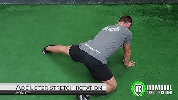 Quadruped single leg adductor stretch w/rotation