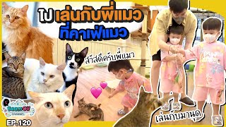 T&P กับคาเฟ่แมว..ทาสแมวละลาย | BeamOil Family | EP. 120