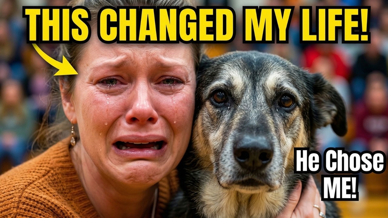 When Shelter Dogs Choose Their Humans | Emotional Dog Adoption Stories