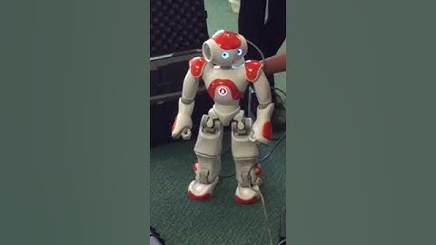 NAO Singing Ghangum Style