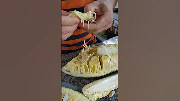 Хлебное дерево во Вьетнаме / Джекфрут
