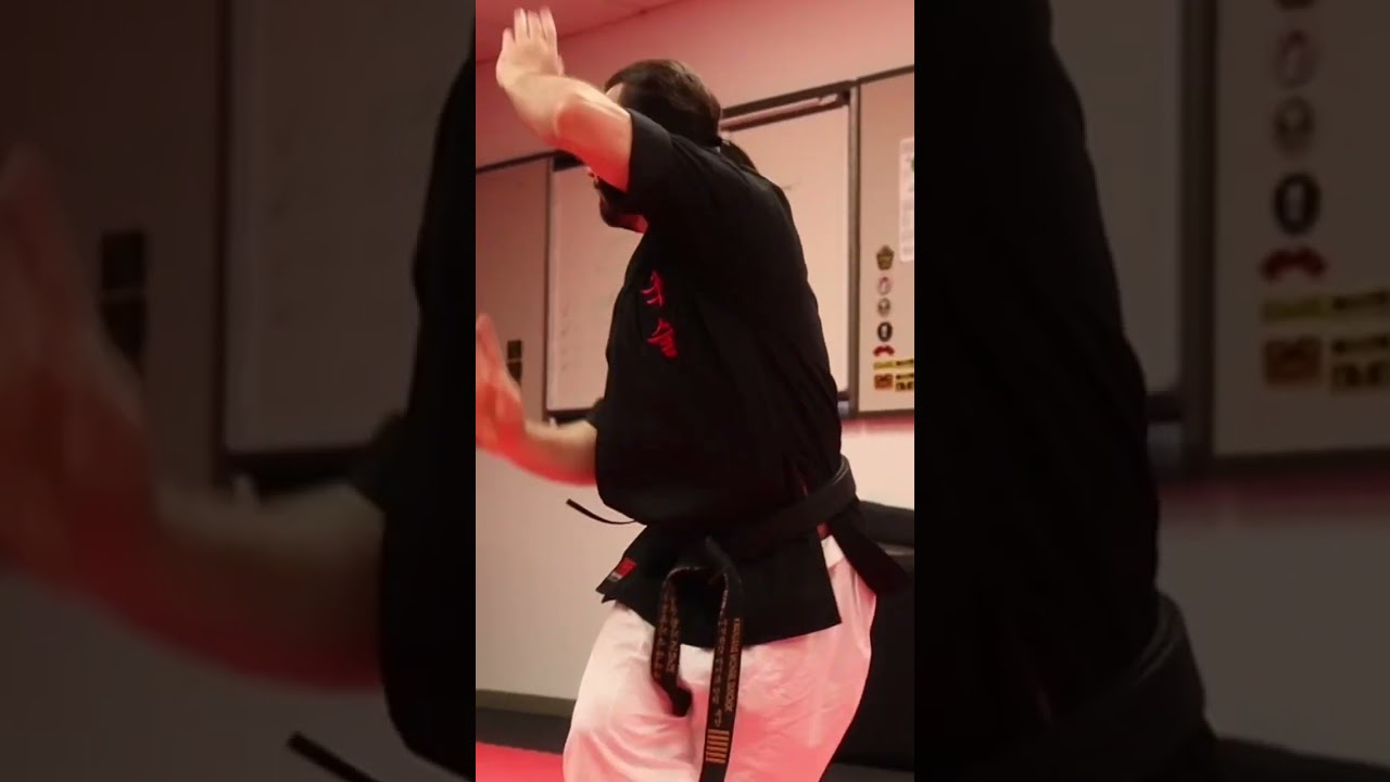 Kuk Sool Kwan Purple Belt Form