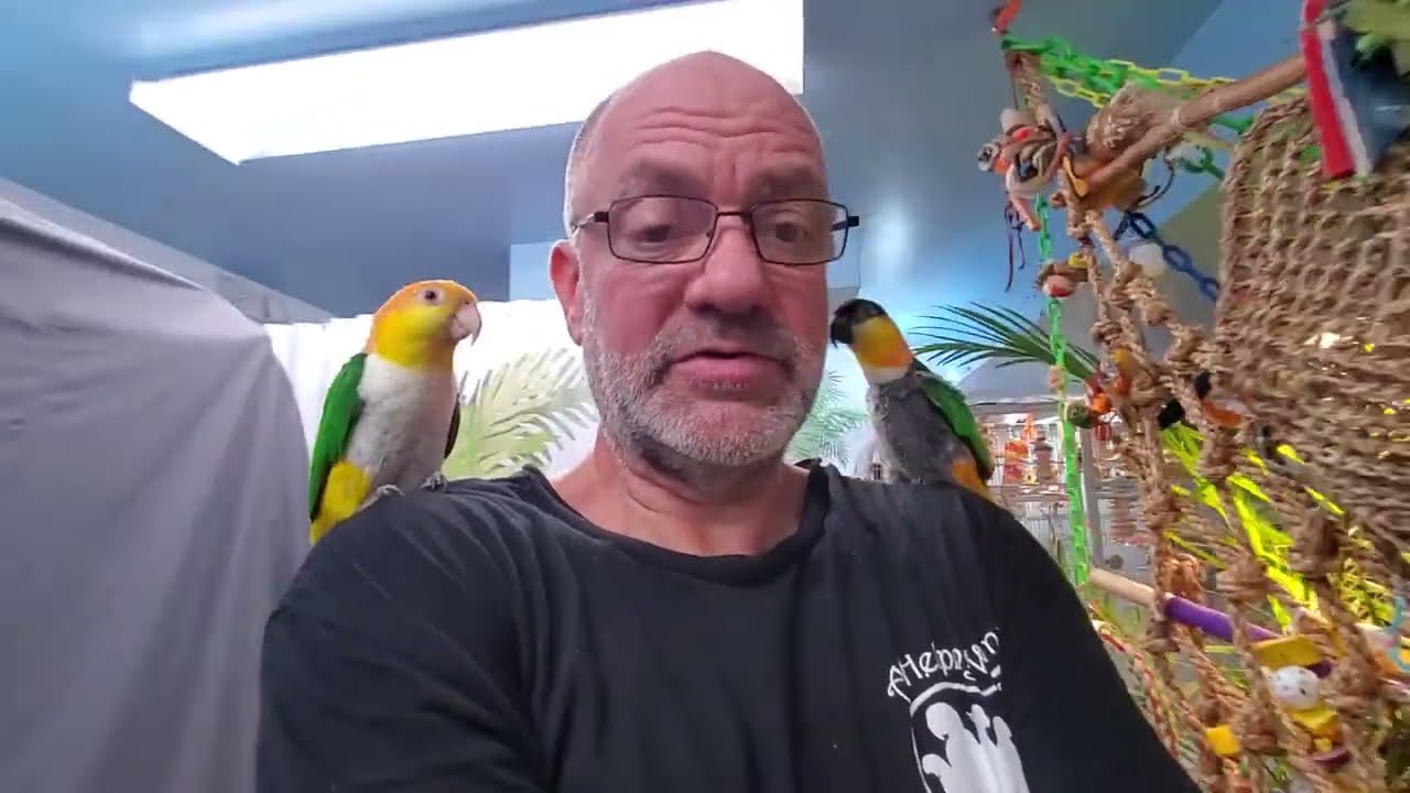 Eddy, Ricky and Sunny are now out for today's 4th recess 😁 