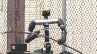 Bimanual Dexterous Robotic Platform (Robo Sally)