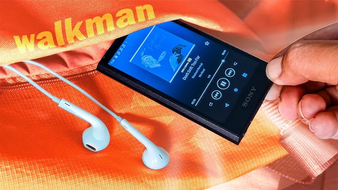 Reproductor MP3 Walkman Sony NW-E393/RC