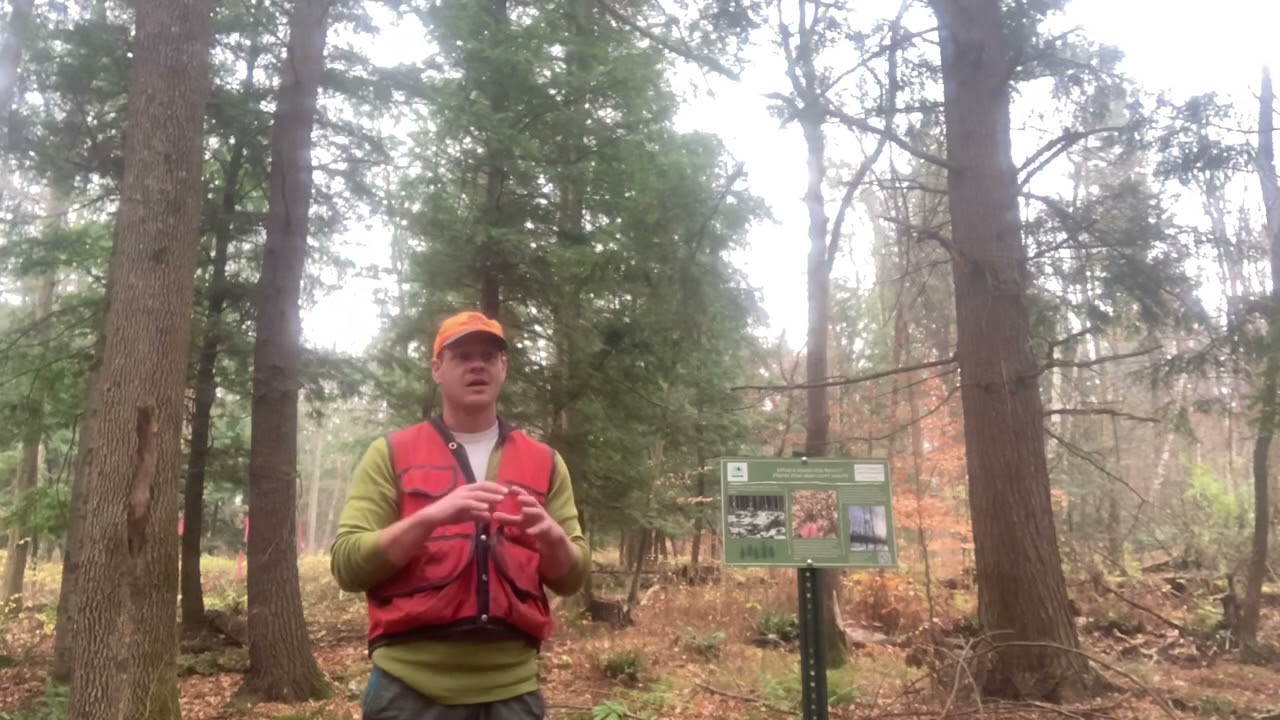 Deer Browse and Deer Exclosure at the Catamount Community Forest