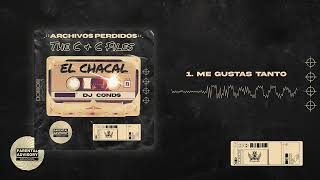 Chacal - Me Gustas Tanto [Audio Cover]