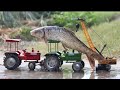 Fish 🐟 Helping Video || Jcb and tractor cartoon video || gadi cartoon