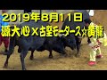 源大心x古堅モータース☆黄龍 2019.8.11 【沖縄闘牛】