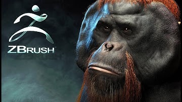 Zbrush + Keyshot * Fibemesh * Timelapse modeling Orangutan