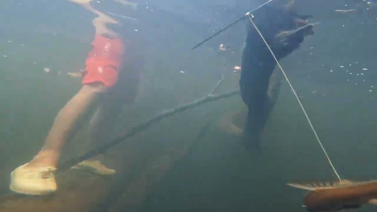 Part Last trip ke ulu melinau#baleh #borneosarawak #gopro10 #ikan #menyelam #sungai #borneo #kapit 