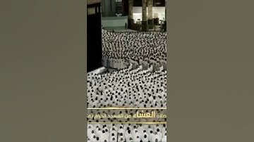 صلاة العشاءمن رحاب المسجد الحرام الشّيخ الوليد الشمسان خواتيم سورة هـود يوم الجمعة٢٩ربيع الآخر١٤٤٦هـ