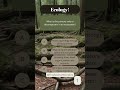 The beginning and end of the circle of life... #ecology #quiz #science #TinyScienceWonders