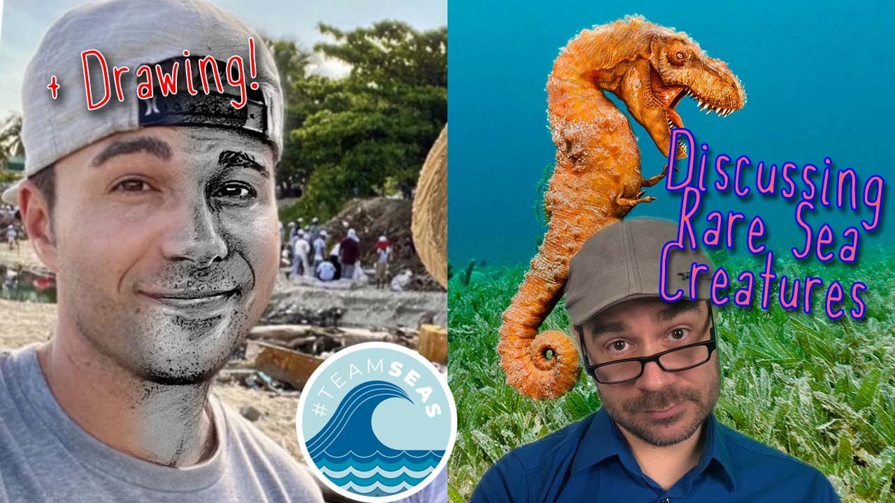 Drawing Mark Rober And Discussing Rare Sea Creatures! TeamSeas YouTube