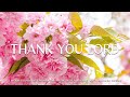 Thank You Lord: Instrumental Worship, Meditation &amp; Prayer Music with Flower Scene 💮CHRISTIAN piano