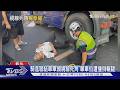 騎進聯結車車頭視線死角 單車伯遭撞倒輾腿｜TVBS新聞 @TVBSNEWS01