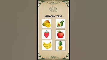 Memory Test✨