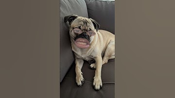 Unlock the Power of Smart Learning with advanced gadgets!🌟🎓