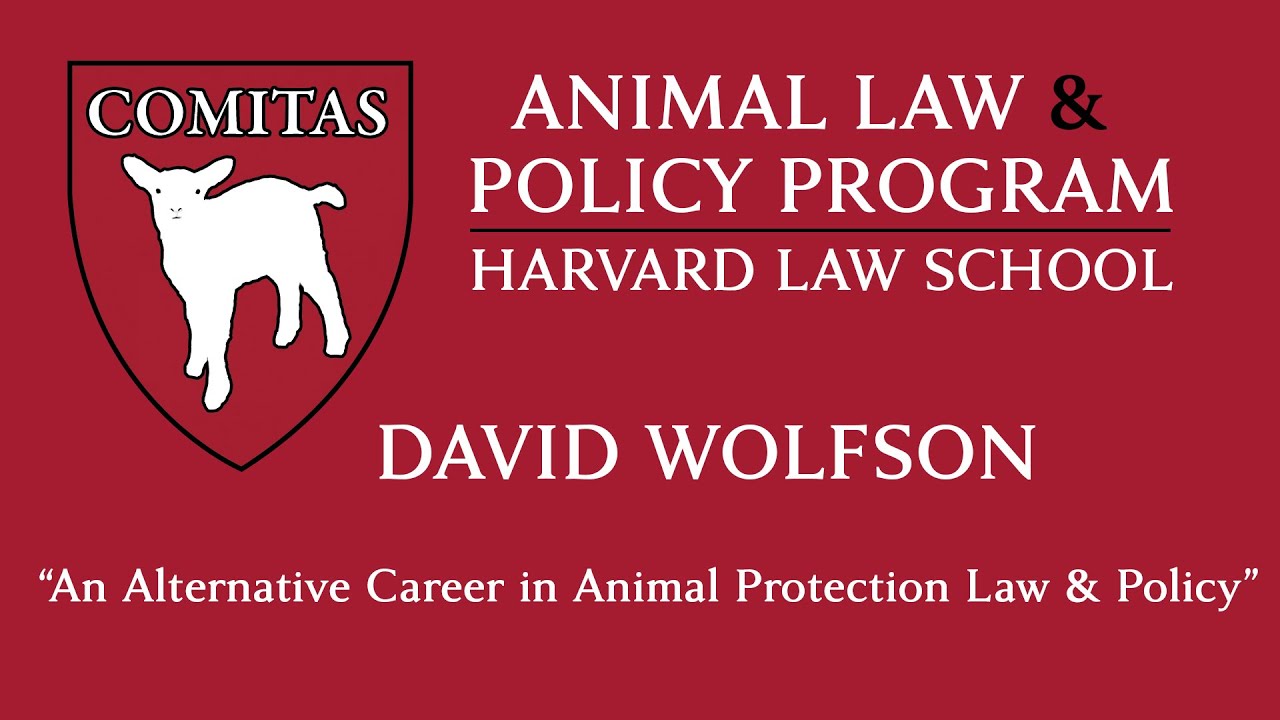 03/28/22: An Alternative Career in Animal Protection Law & Policy - YouTube