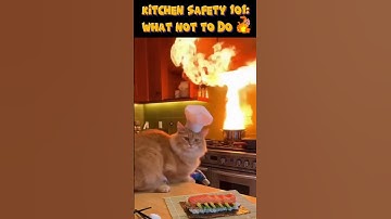 Kitchen Safety 101: when your “cat chef” starts a flame