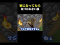 【ドッキリ】"かくれんぼ"家になっていたら一生バレない説 #マインクラフト #マイクラ