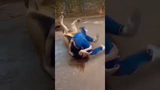 Aslanla Cam In Içinden Eğlenen Kadın Cam Kırılınca Dehşete Kapıldı