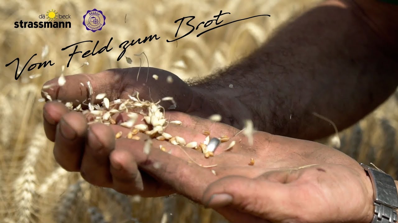 Vom Korn zum Brot | Mühle Lamperswil und dä Beck Strassmann