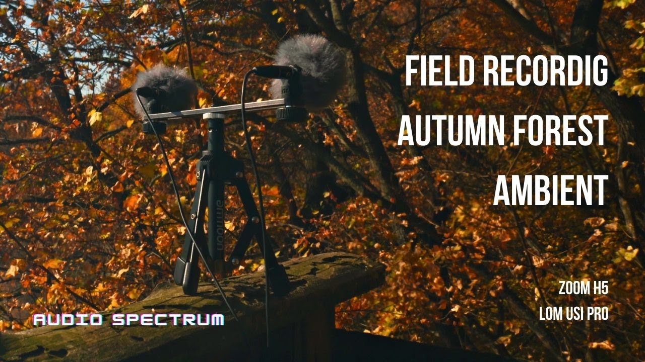 Autumn Forest Ambience Field Recording ZOOM H5 LOM USI PRO mic Relaxing ASMR YouTube