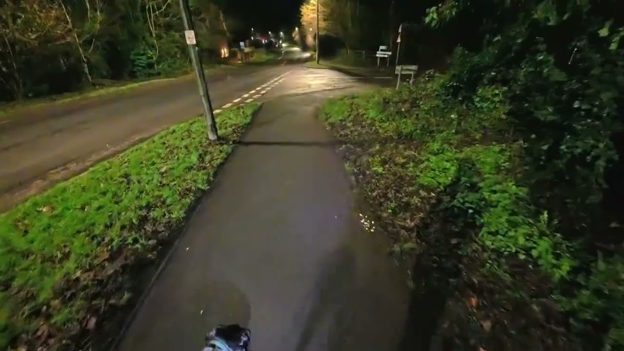 Walkies with Merlin - 16/12/25 - Evening Dog Walk