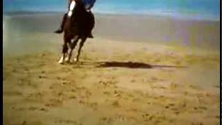 Speed Video 1 - Vamos A La Playas