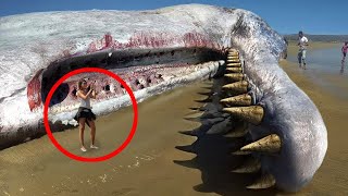Shocking Creatures That Are Not From This Planet