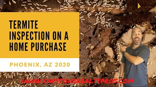 Termite inspection on an investment property in Phoenix AZ