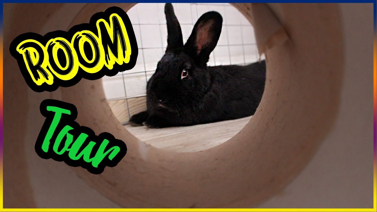 ROOM TOUR - czyli jak mieszkają moje króliki| Uszatkowe Rady