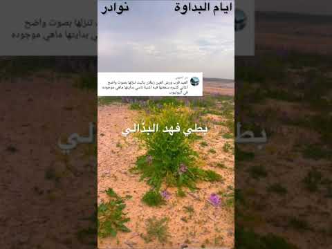 الفنان بطي فهد البذالي العيد قرب واريش العين زعلان 