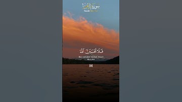 - تلاوة شجية من سورة إبراهيم ( وقد مكروا مكرهم )🌹