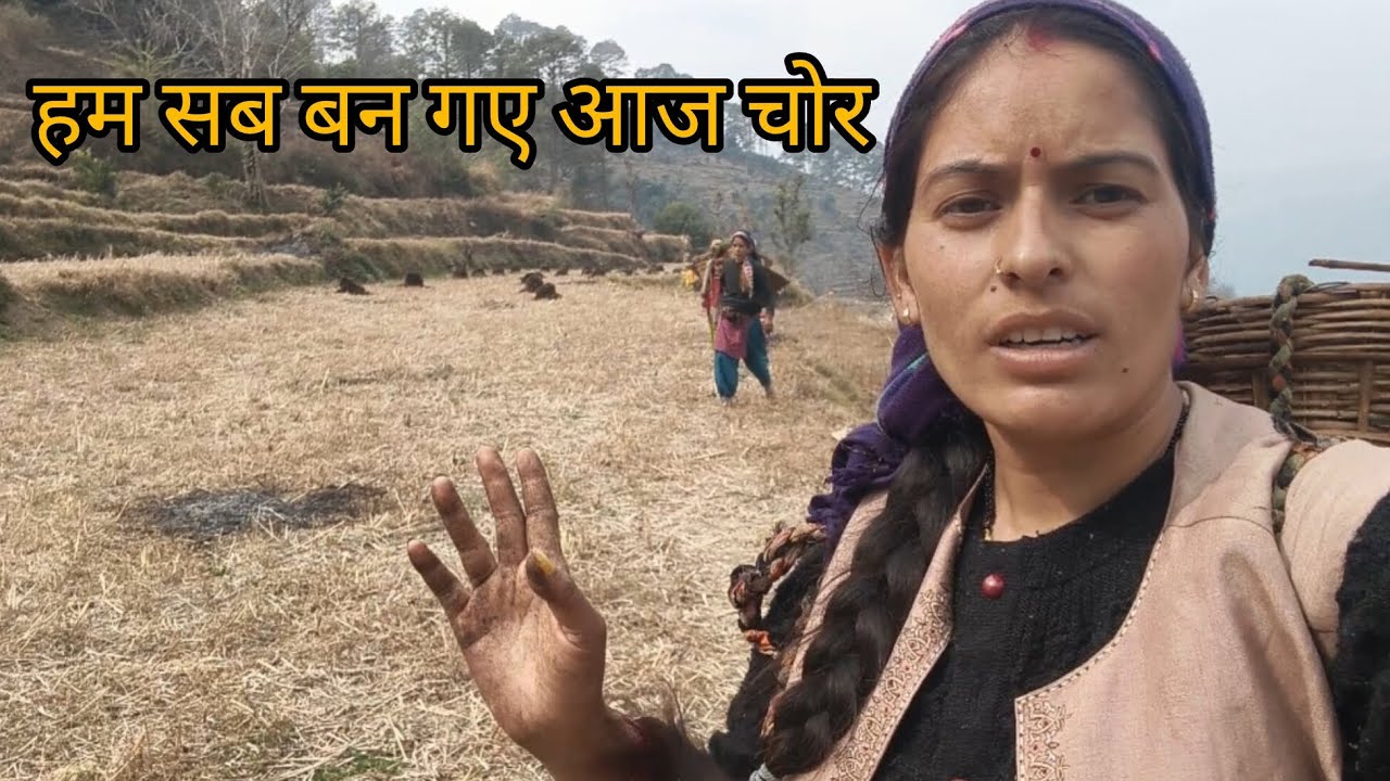 आज लगाया खेत में गोबर😅 #pahadi #lifestylevlog 