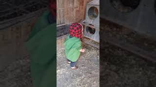 Boy starts to cry from caged clucking chicken