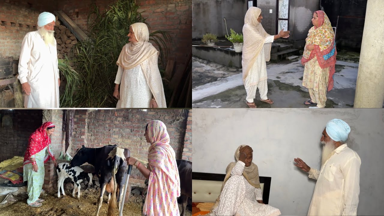 ਰੱਬ ਦਾ ਭਾਣਾ ਭਾਗ-੮੨ Rab da bhana part-82 #thepunjab #sadapunjab #familychannel #familyvlog 