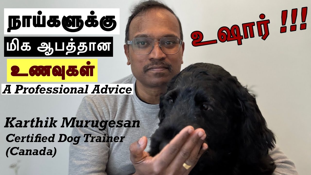 Dog Trainer’s Alert: 5 Foods That can kill your dog instantly! தமிழில்