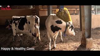 Vachan | Sarda Dairy | Corporate Video screenshot 2