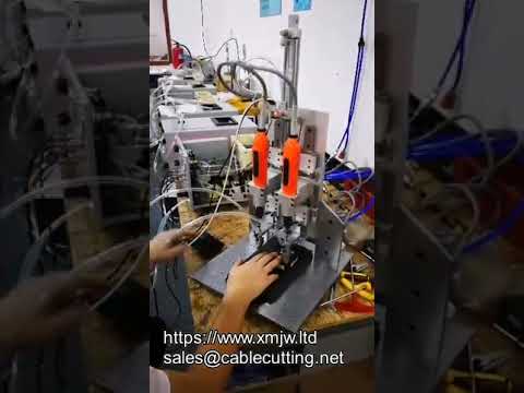 Double-Head Desk Z-Axis Moving Electric Screwdriver with Auto Feeding System