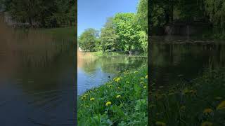 Oliva Island in Pshimorsky Park. Gdańsk May 21 2023