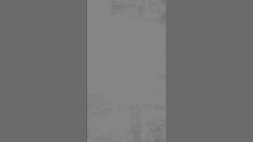 Stigmergy. Made with Jitter (Cycling 74’) #maxmsp #glsl #shaders