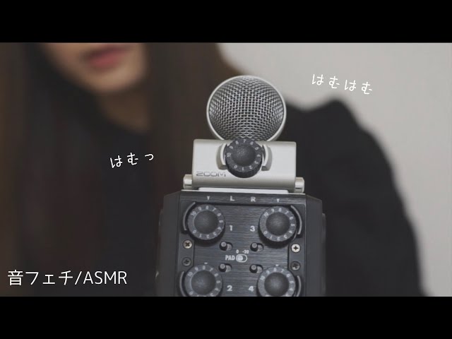 Japanese Trigger Word / hamuhamu /はむはむ【ASMR】